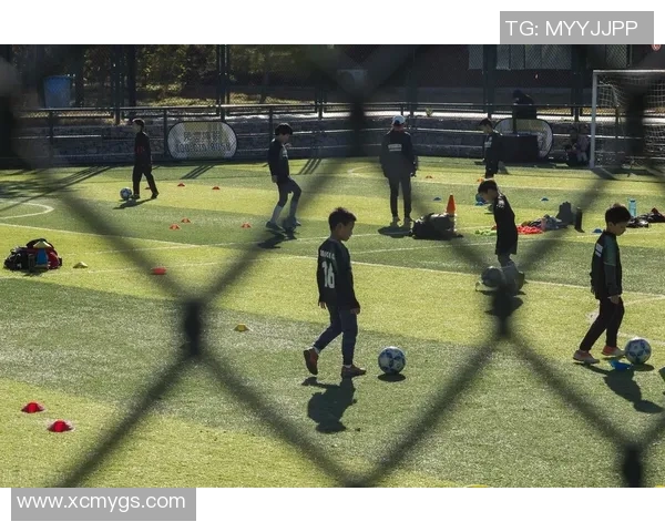 足球巨星一周训练与比赛日程揭秘 从早晨到夜晚的高强度生活