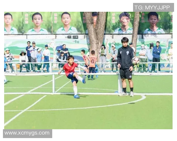 那些被遗忘的绿茵英雄：盘点冷门足球球星的传奇人生